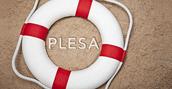 Should your business offer the new emergency savings accounts (PLESA) to employees?